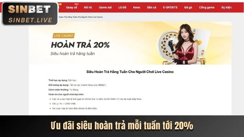 Hoàn trả hàng ngày casino 368 Bet